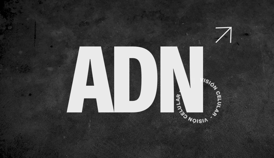 ADN- VIsion